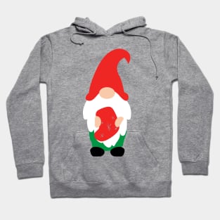 Alexander the holiday gnome Hoodie